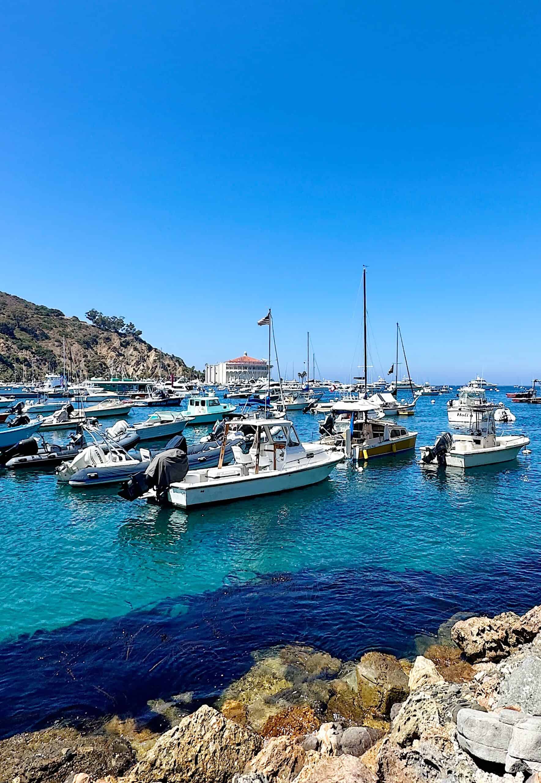 Things to do in Catalina 