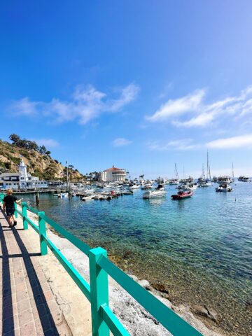 Views of the water on Catalina Island