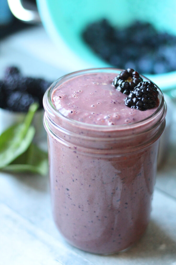Blackberry Smoothie With Spinach, Yogurt & Berries - BriGeeski