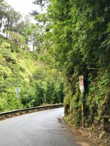 Road to Hana with Kids