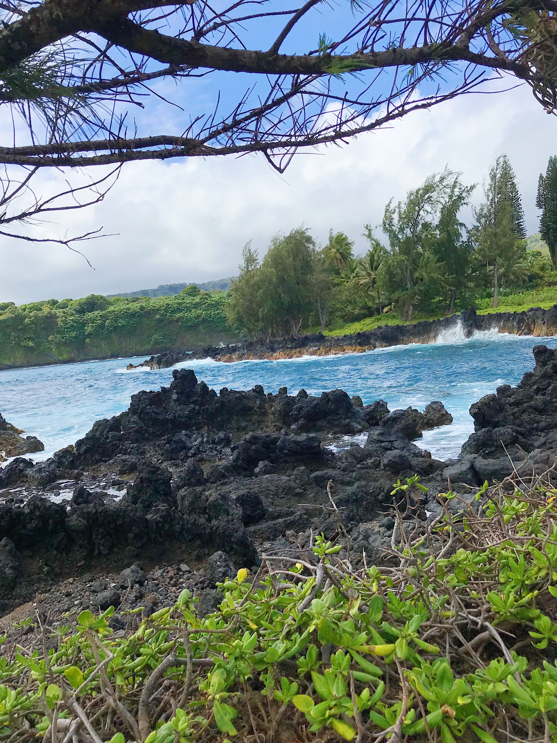 Waialohe Park