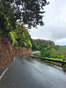 halfway road to hana