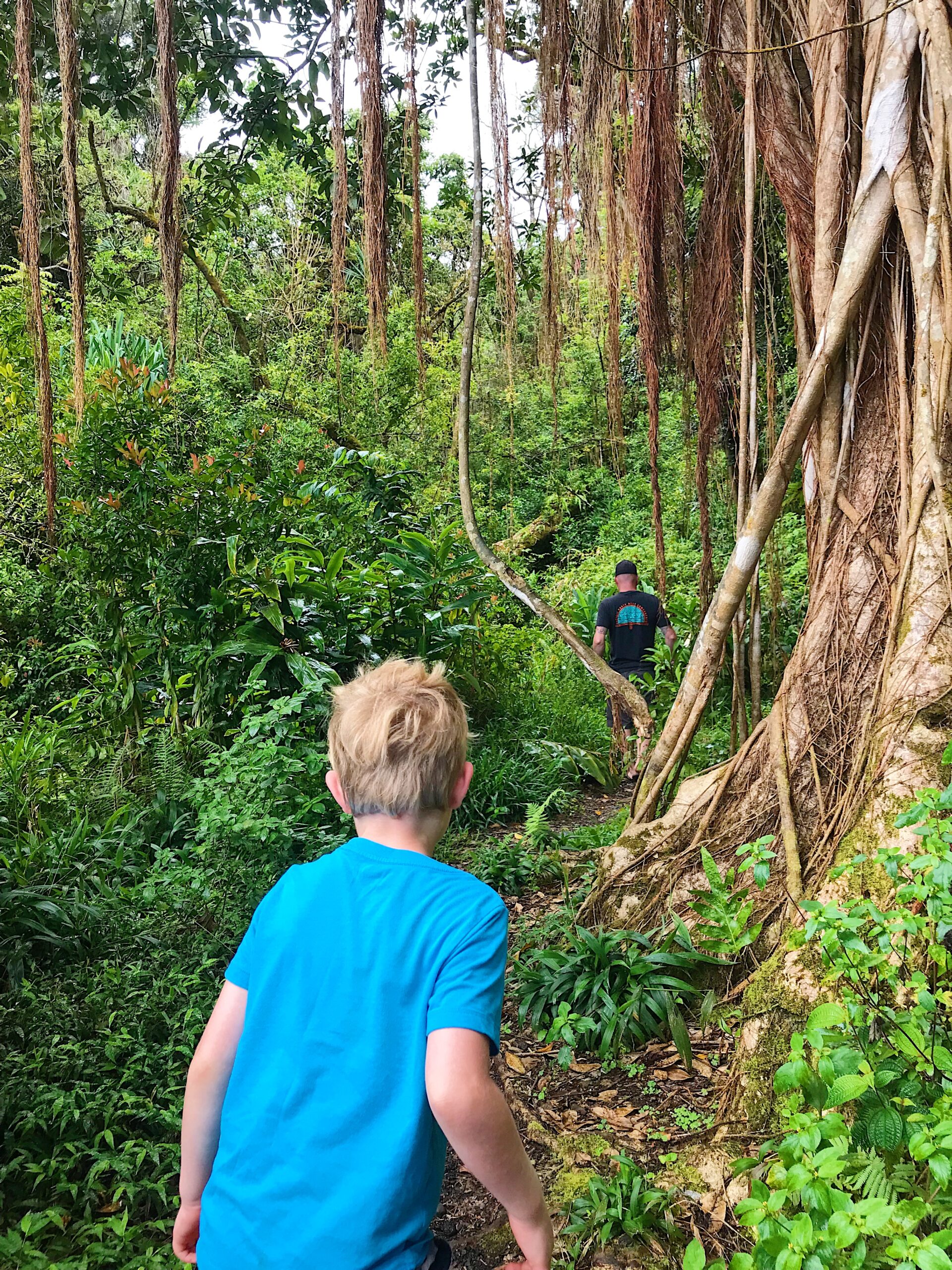 hiking in hana