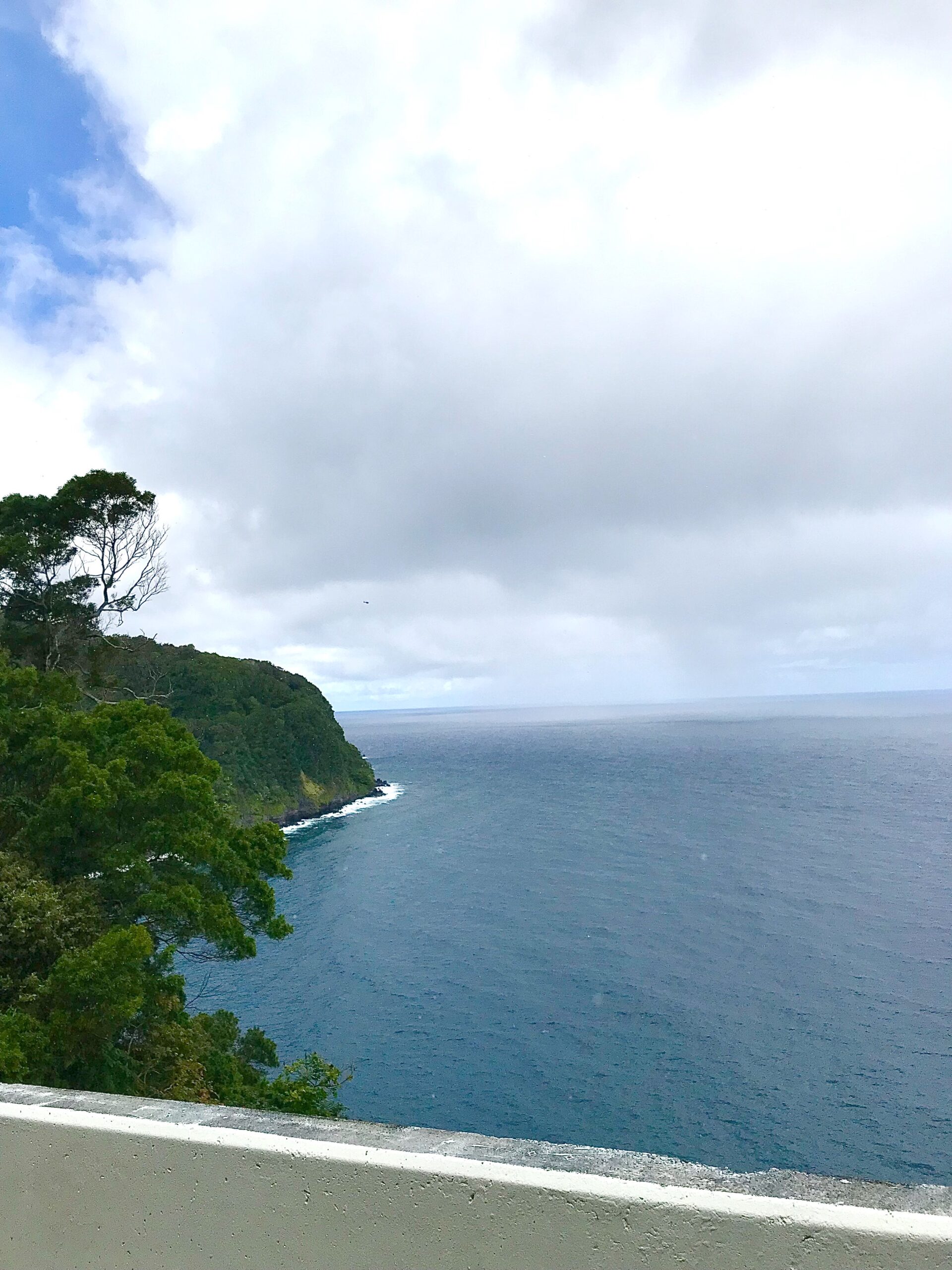 view of the road to hana