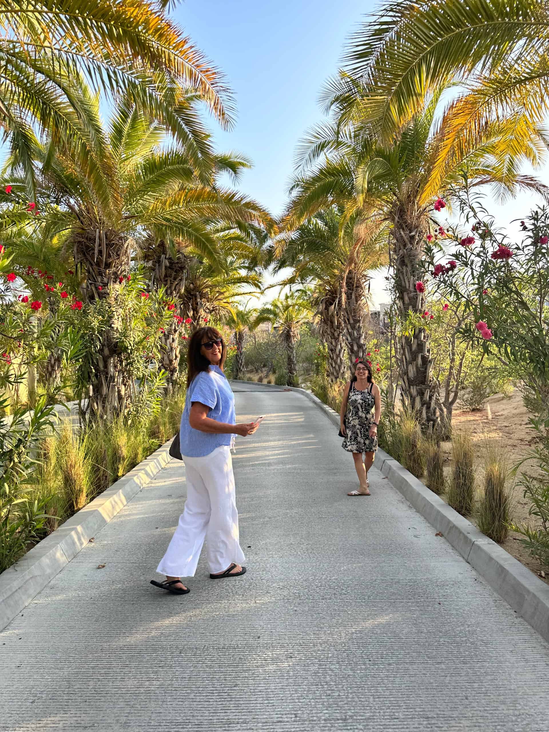 San Jose Del Cabo, Palm Trees View